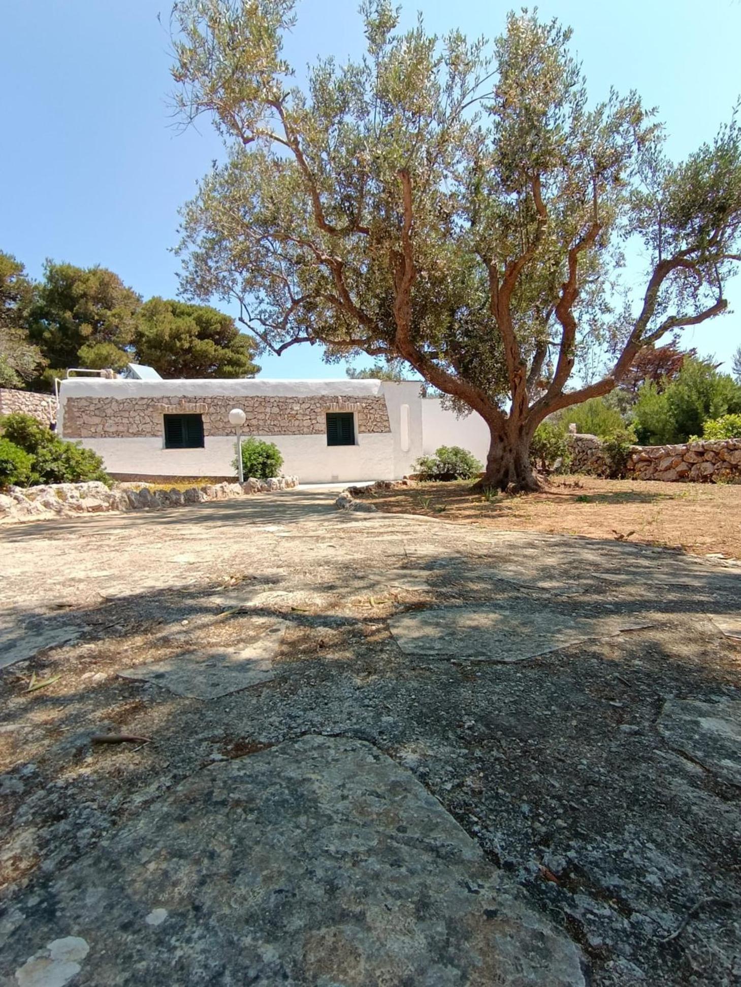 Scogliera Del Gabbiano Apartment