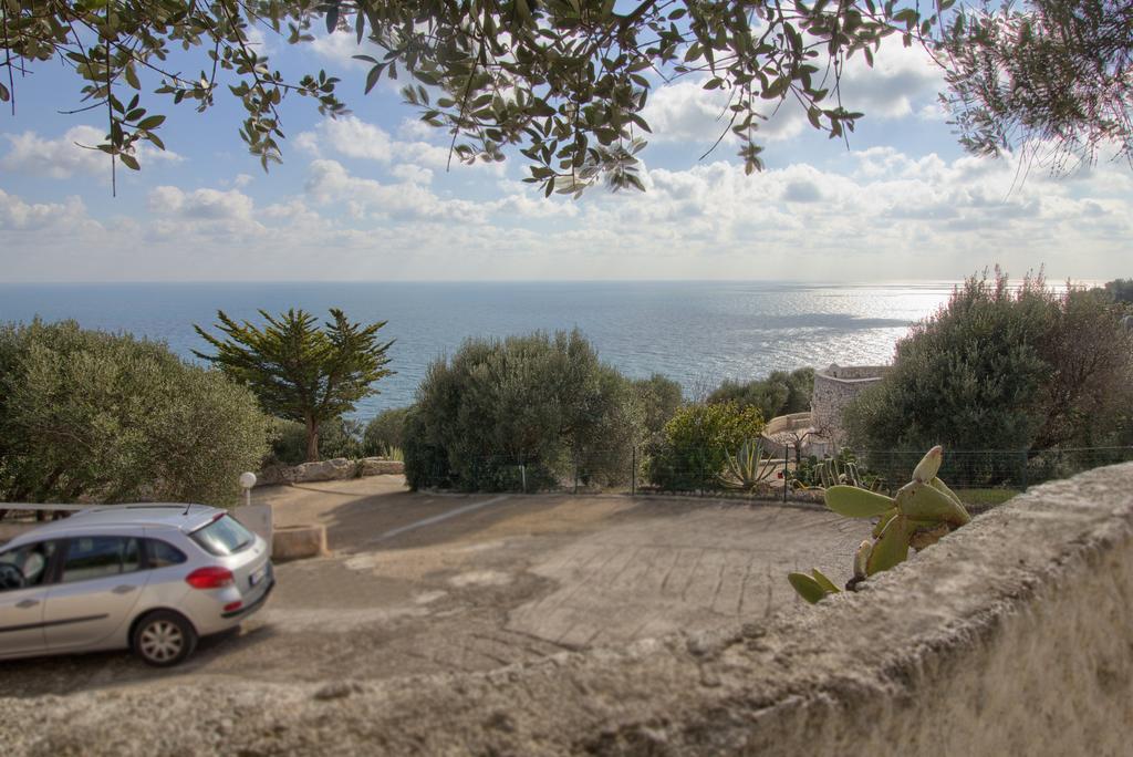 Scogliera Del Gabbiano