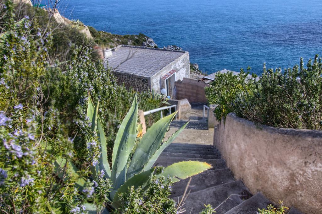 Scogliera Del Gabbiano Apartment Santa Maria di Leuca
